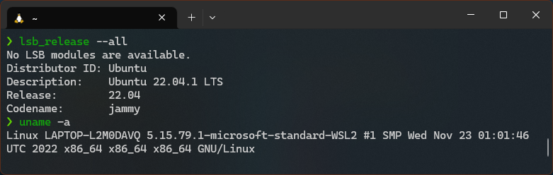 A terminal window showing the output of lsb_release -a and uname -a which shows we&rsquo;re on Ubuntu 22.04 and running on WSL