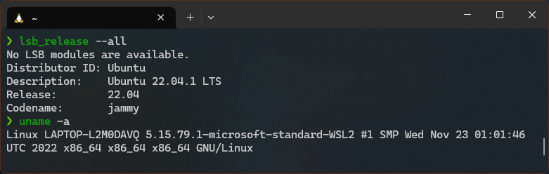 wsl-is-just-linux-upgrading-ubuntu-on-wsl-throwin-exceptions